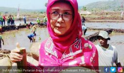 Bawang Merah Pembuka Pintu Ekspor Indonesia ke Timor Leste - JPNN.com