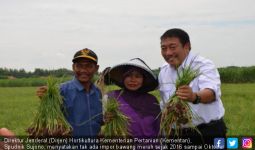 Tiga Prioritas Pengembangan Hortikultura 2018 Harus Sukses - JPNN.com