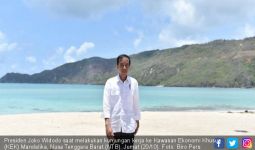 Jokowi: Ditanami Biar Hijau dan Tambah Cantik - JPNN.com