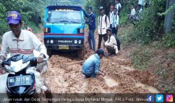 Duh, Jalan Umum Ini sudah Mirip Sawah - JPNN.com