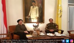 Bawa Masakan Kesukaan Bung Karno, Megawati Temui Jokowi - JPNN.com