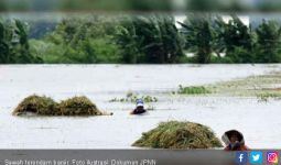 Ratusan Hektare Sawah Terendam Banjir di OKI - JPNN.com