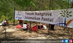 Kunjungan Wisata ke Hutan Mangrove tak Terdampak Tumpahan Minyak - JPNN.com
