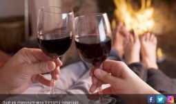 Minum Wine Baik untuk Kesehatan Otak? - JPNN.com
