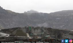 Bangun Smelter, Freeport Sewa Lahan di Gresik Selama 5 Tahun - JPNN.com