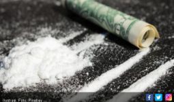 Gelontorkan Rp 4 T untuk Pangkas Produksi Kokain Kolombia - JPNN.com