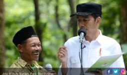 Jokowi Ancam Masyarakat yang Menelantarkan Hutan Sosial - JPNN.com