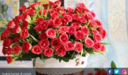 Tips Menjaga Bunga Agar Segar Lebih Lama   - JPNN.com