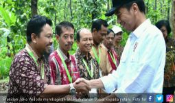 Kebijakan Berani Jokowi Bikin Gerah Orang Serakah - JPNN.com