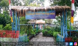 Program KRPL Kementan Hemat Rp 700 Ribu per Rumah Tangga - JPNN.com