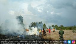 Status Karhutla Riau dan Kalsel Resmi Diperpanjang - JPNN.com