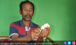Muntahan Ikan Paus Ditawar Rp 3,3 M, Pemilik Susah Tidur - JPNN.com