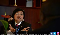 PT Jambi Menangkan KLHK atas Korporasi Penyebab Karhutla - JPNN.com