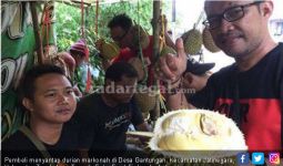 Musim Durian Tiba, Markonah Memang Luar Biasa - JPNN.com