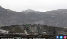 Pembangunan Smelter PT Freeport di Gresik Baru Mencapai 3,86% - JPNN.com