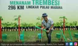 Nugie Lestarikan Alam dengan Ikut Menanam Trembesi - JPNN.com