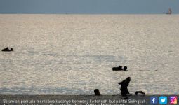 Kuda Pacu Berenang di Pantai, Berendam Air Hangat, Dipijat - JPNN.com