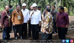 Jokowi Pengin Indonesia Bisa Terdepan soal Pengelolaan Sawit - JPNN.com