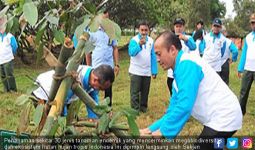 Miniatur Hutan Hijaukan Bandara Soekarno Hatta - JPNN.com