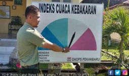 KLHK Resmi Cabut Status Siaga Karhutla 7 Provinsi - JPNN.com