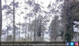 Hutan di Lereng Gunung Agung Mengering, Hewan Mulai Turun - JPNN.com
