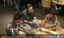 Maramowe Bangkitkan Budaya Papua yang Hampir Punah - JPNN.com
