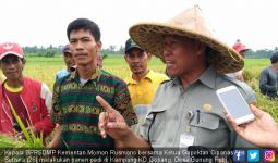 Kepala BPPSDMP Kementan Apresiasi Anak Muda Bertani - JPNN.com