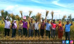 Gabah Melimpah, Petani Semringah - JPNN.com