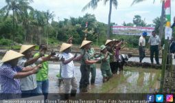 Flores Timur Siap Dukung Swasembada Pangan Nasional - JPNN.com