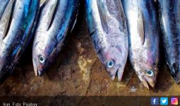 Bu Susi: Satu Hari Sudah 40 ton Ikan yang Dibuang - JPNN.com