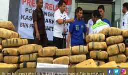 Kakek 63 Tahun Simpan 222 Kilogram Ganja di Rumahnya - JPNN.com