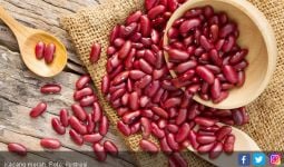 6 Manfaat Kacang Merah, Nomor 5 Bikin Kaget - JPNN.com