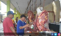 Daging Kerbau Impor dari India Lebih Murah - JPNN.com