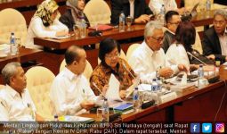 Di DPR, Menteri Siti Menjelaskan Capaian KLHK Tiga Tahun - JPNN.com