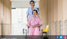 30 Persen Perawat Honorer K2 Usia di Atas 35 Tahun - JPNN.com