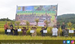 Petani Puwakarta Masih Mampu Panen Setiap Hari - JPNN.com