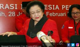 Megawati Minta Nasib Perawat Indonesia Diperjuangkan - JPNN.com