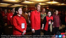 Semoga Pak Jokowi Bijak Menilai Jika Mbak Puan Aktif di PDIP - JPNN.com