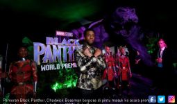 Premiere Black Panther, Ini Kata Kritikus dan Sineas - JPNN.com