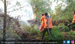 6 Provinsi Tetapkan Siaga Darurat Karhutla Jelang Puncak Musim Kemarau - JPNN.com