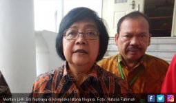 Menteri Siti Awasi Ketat Riau, Sumsel dan Jambi - JPNN.com
