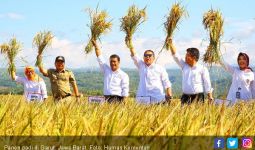 Petani di Jawa Barat Kompak Tolak Impor Beras dan Jagung - JPNN.com