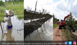 Lahan Kebanjiran, Petani di Sangatta Selatan Gagal Panen - JPNN.com