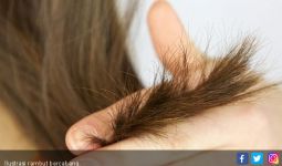 7 Bahan Alami Ini Bisa Atasi Rambut Bercabang, Membuat Anda Lega - JPNN.com