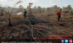 Manggala Agni Lakukan Berbagai Langkah Antisipasi Karhutla - JPNN.com