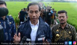 Blusukan ke Sawah, Presiden Jokowi Kehujanan Lagi - JPNN.com