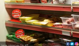 Industri Halal Indonesia Kalah dari Thailand dan Korsel - JPNN.com