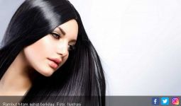 6 Cara Alami Membuat Rambut Lebih Tebal - JPNN.com