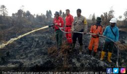 Kebakaran Lahan Riau, Kepolisian Tangkap 14 Orang - JPNN.com