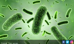  Apakah Probiotik Ada Manfaatnya? - JPNN.com